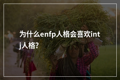 为什么enfp人格会喜欢intj人格？