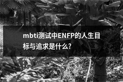 mbti测试中ENFP的人生目标与追求是什么?