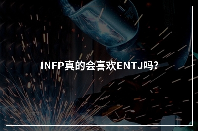 INFP真的会喜欢ENTJ吗?